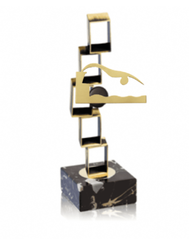 Trofeo De Natacion