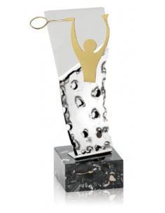 Trofeo De Badminton