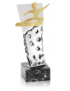 Trofeo De Snowboard