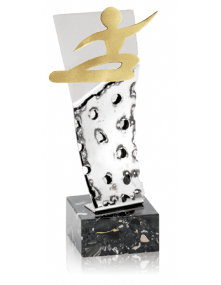 Trofeo De Snowboard