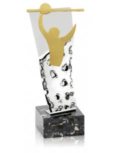 Trofeo De Voleybol