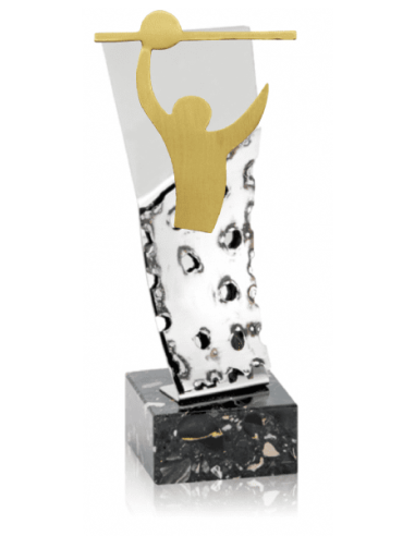 Trofeo De Voleybol