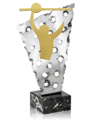 Trofeo De Voleybol