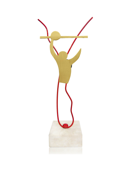 Trofeo De Voleybol
