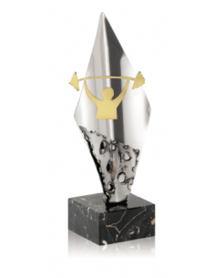 020 Trofeos de HALTEROFILIA&nbsp;economicos personalizados en Valencia
