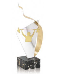 056 Trofeos de HALTEROFILIA&nbsp;economicos personalizados en Valencia