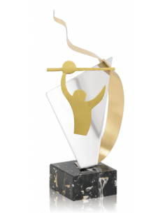 002 Trofeos de VOLEYBOL&nbsp;economicos personalizados en Valencia