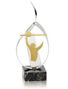 Trofeo De Voleybol