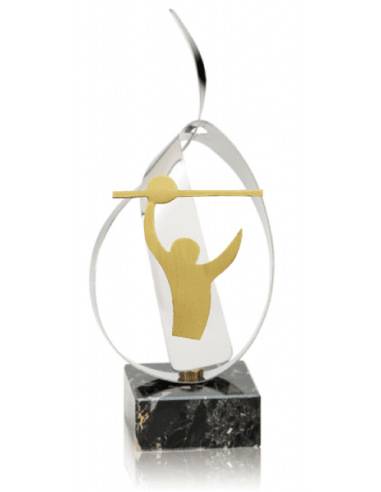 Trofeo De Voleybol