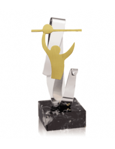 Trofeo De Voleybol