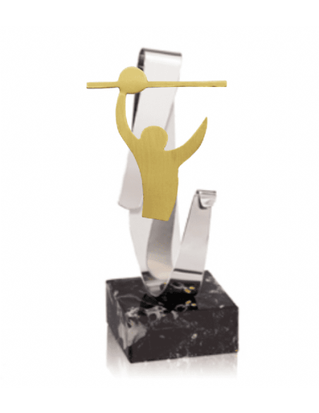 Trofeo De Voleybol