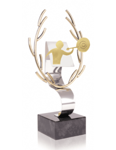 038 Trofeos de DARDOS&nbsp;economicos personalizados en Valencia