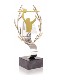 047 Trofeos de VOLEYBOL&nbsp;economicos personalizados en Valencia