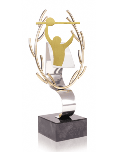 047 Trofeos de VOLEYBOL&nbsp;economicos personalizados en Valencia
