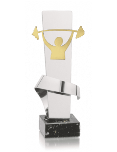 008 Trofeos de HALTEROFILIA&nbsp;economicos personalizados en Valencia