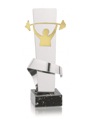 008 Trofeos de HALTEROFILIA&nbsp;economicos personalizados en Valencia