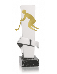 010 Trofeos de HOCKEY&nbsp;economicos personalizados en Valencia