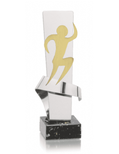 013 Trofeos de RUNNING&nbsp;economicos personalizados en Valencia