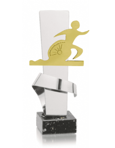 013 Trofeos de TRIATLON&nbsp;economicos personalizados en Valencia