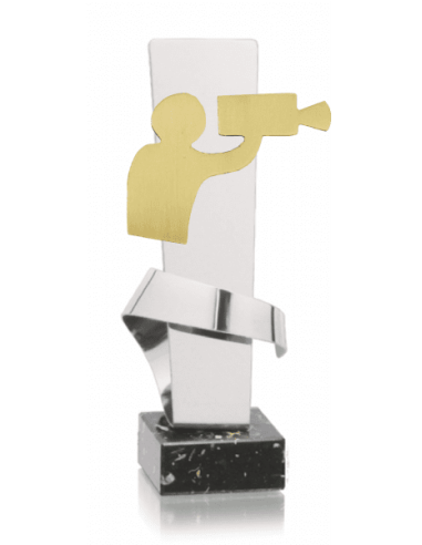 013 Trofeos de VIDEO&nbsp;economicos personalizados en Valencia