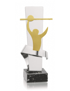 014 Trofeos de VOLEYBOL&nbsp;economicos personalizados en Valencia