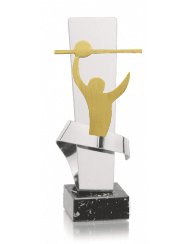014 Trofeos de VOLEYBOL&nbsp;economicos personalizados en Valencia