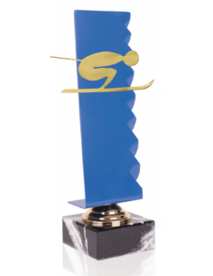 019 Trofeos de ESQUI&nbsp;economicos personalizados en Valencia