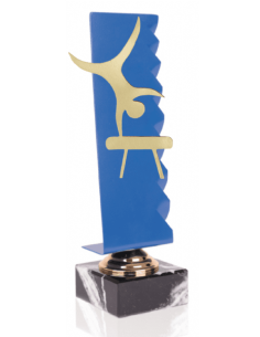 020 Trofeos de GIMNASIA&nbsp;economicos personalizados en Valencia