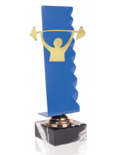 021 Trofeos de HALTEROFILIA&nbsp;economicos personalizados en Valencia