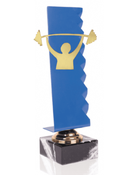 021 Trofeos de HALTEROFILIA&nbsp;economicos personalizados en Valencia