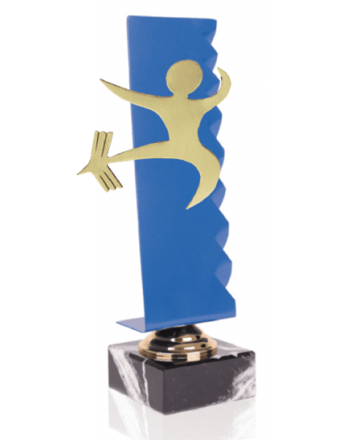 023 Trofeos de KARATE&nbsp;economicos personalizados en Valencia