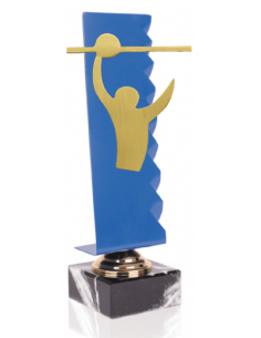 027 Trofeos de VOLEYBOL&nbsp;economicos personalizados en Valencia