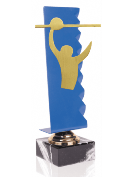 027 Trofeos de VOLEYBOL&nbsp;economicos personalizados en Valencia