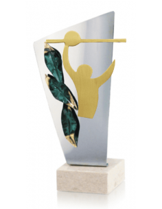 Trofeo De Voleybol