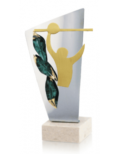 Trofeo De Voleybol