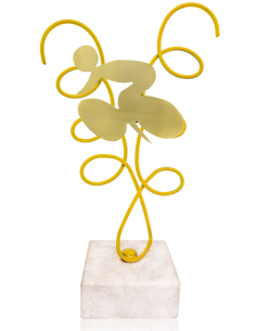 Trofeo De Ciclismo