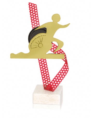Trofeo De Triatlon