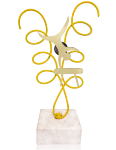 Trofeo De Gimnasia