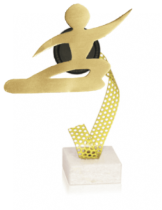 Trofeo De Snowboard