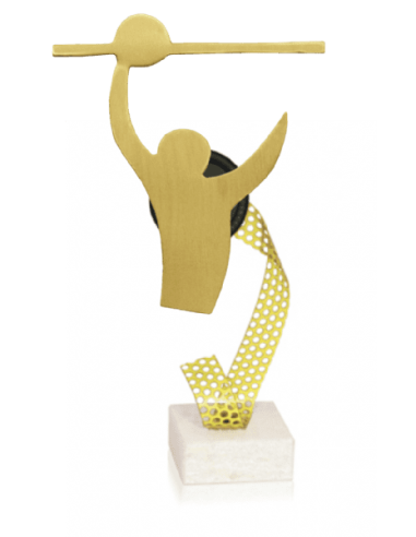 Trofeo De Voleybol