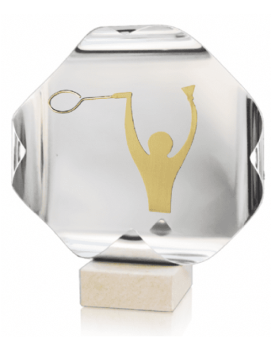 Trofeo De Badminton