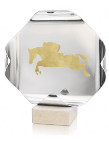 Trofeo De Hipica 1