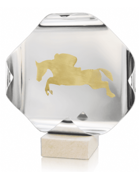 Trofeo De Hipica 1