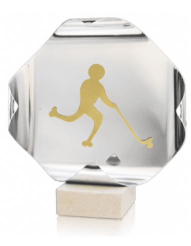 Trofeo De Hockey Patines