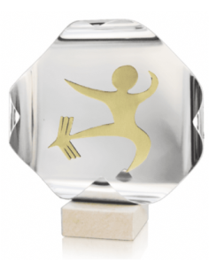Trofeo De Karate