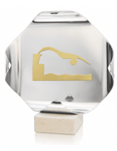 Trofeo De Natacion