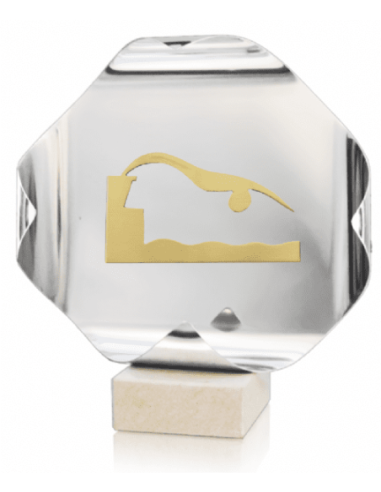 Trofeo De Natacion