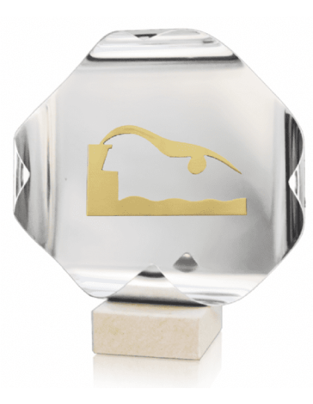 Trofeo De Natacion