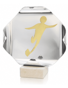 Trofeo De Rugby