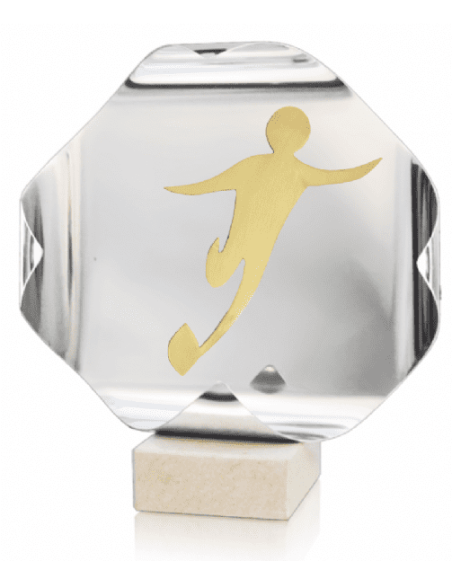 Trofeo De Rugby